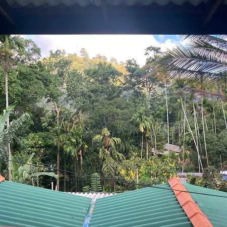 Cozy Homestay Waterfall Road Ella Bagian luar foto
