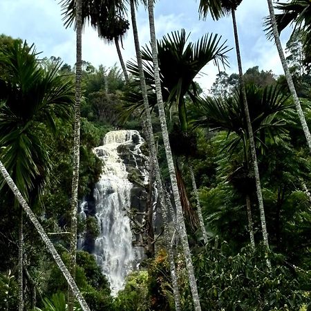 Cozy Homestay Waterfall Road Ella Bagian luar foto