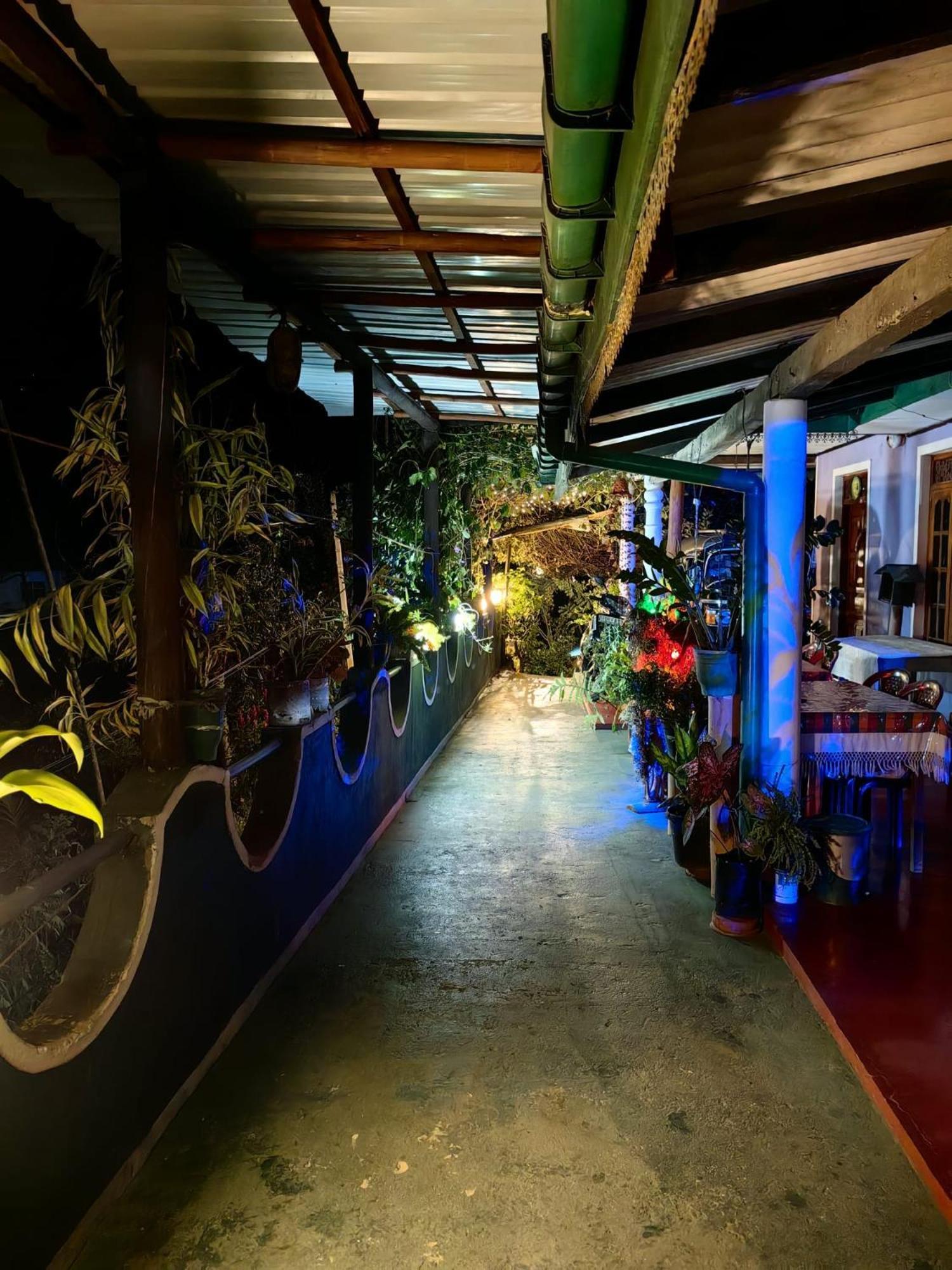 Cozy Homestay Waterfall Road Ella Bagian luar foto