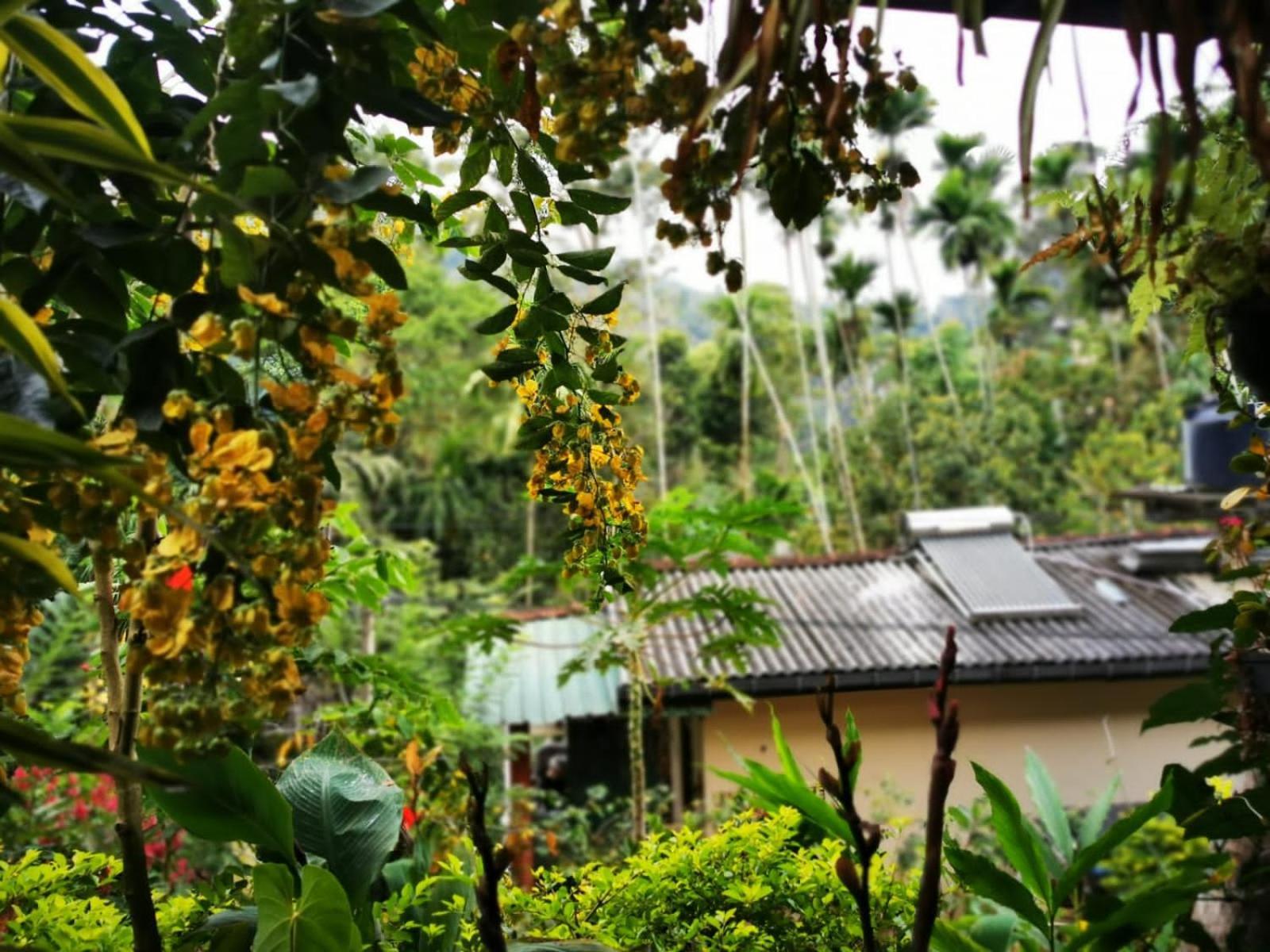 Cozy Homestay Waterfall Road Ella Bagian luar foto