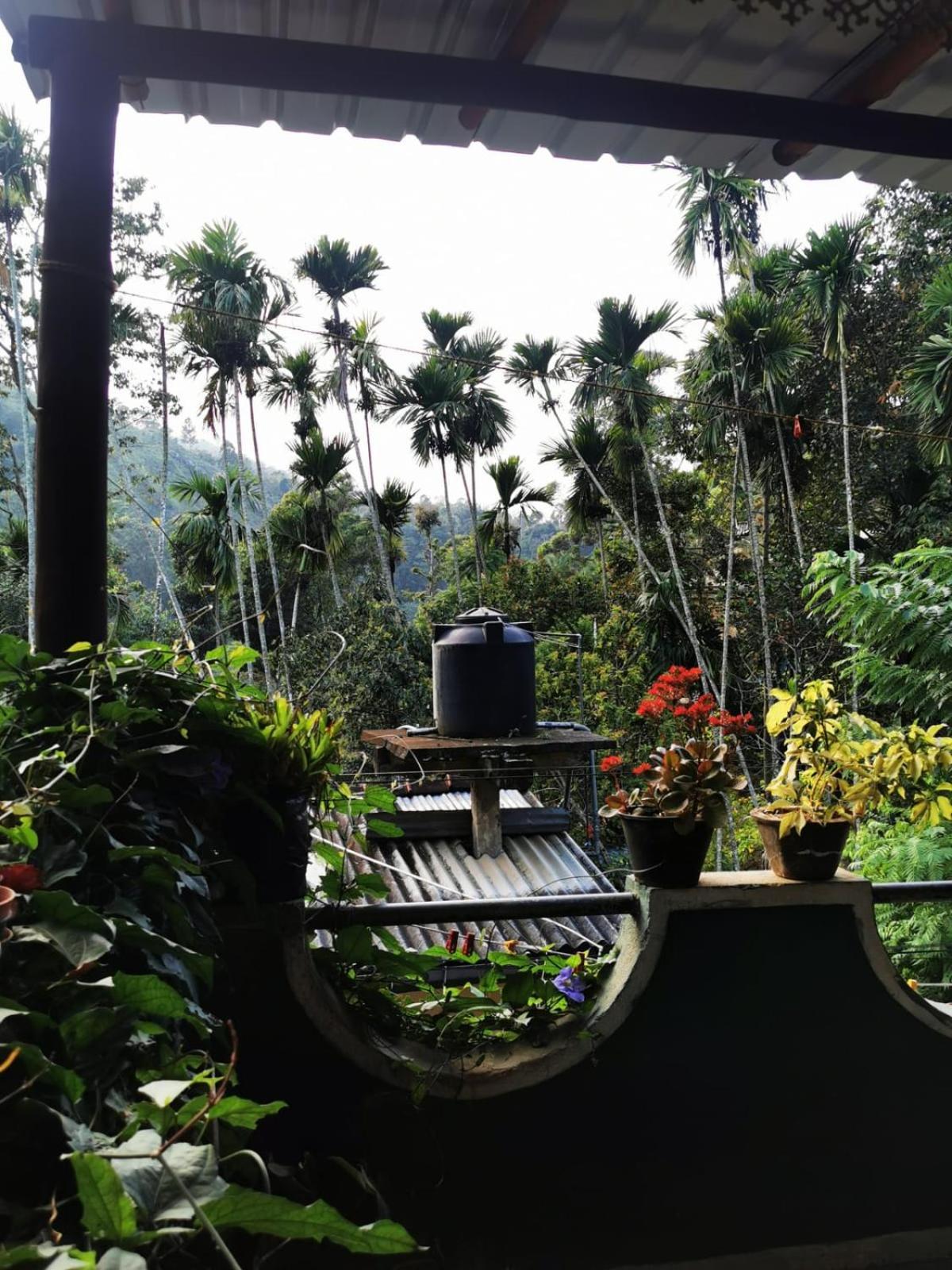Cozy Homestay Waterfall Road Ella Bagian luar foto