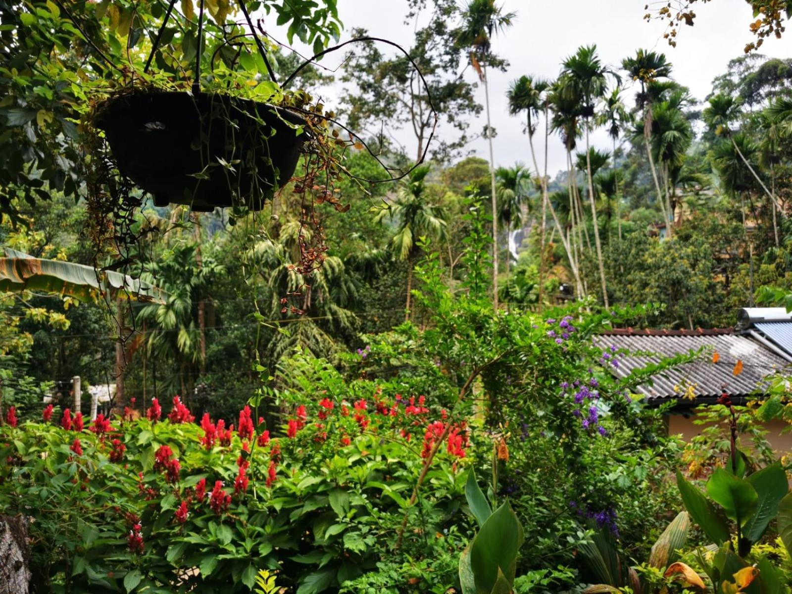 Cozy Homestay Waterfall Road Ella Bagian luar foto