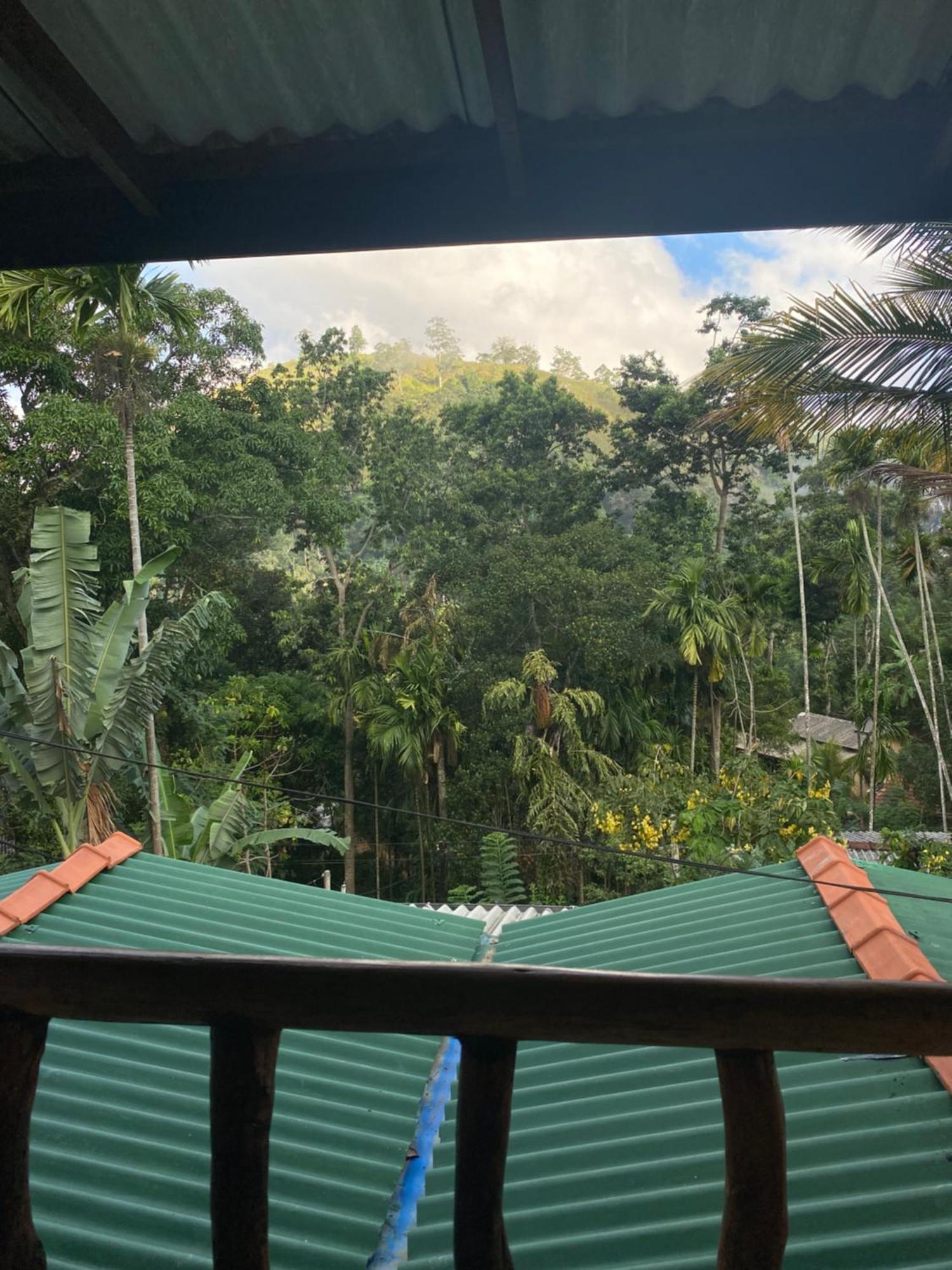 Cozy Homestay Waterfall Road Ella Bagian luar foto