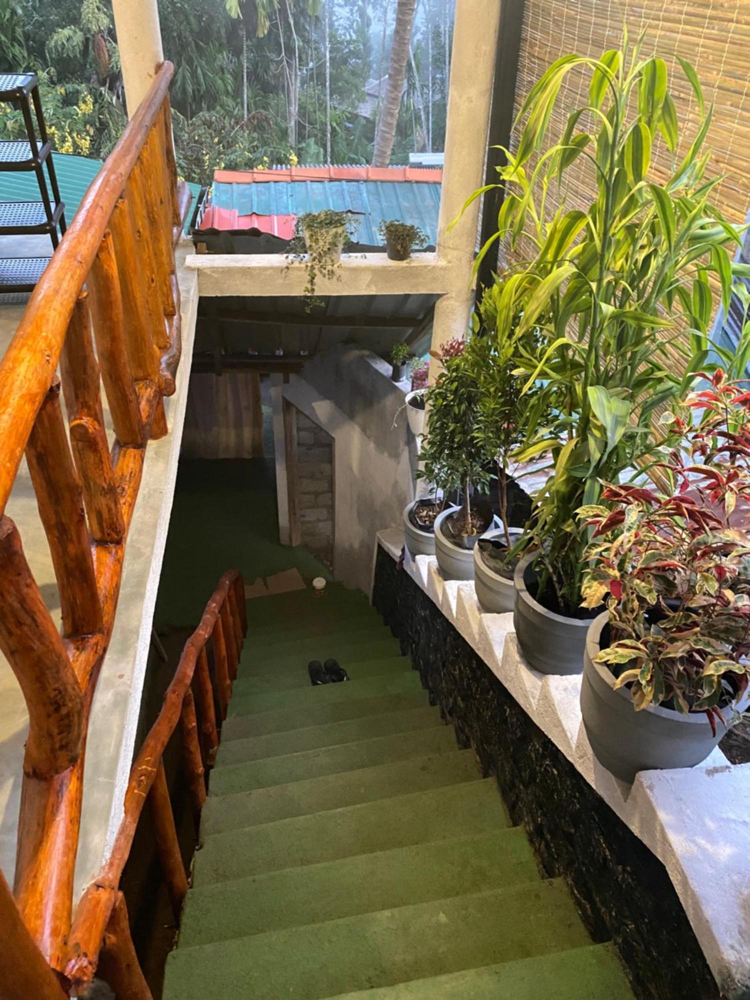 Cozy Homestay Waterfall Road Ella Bagian luar foto