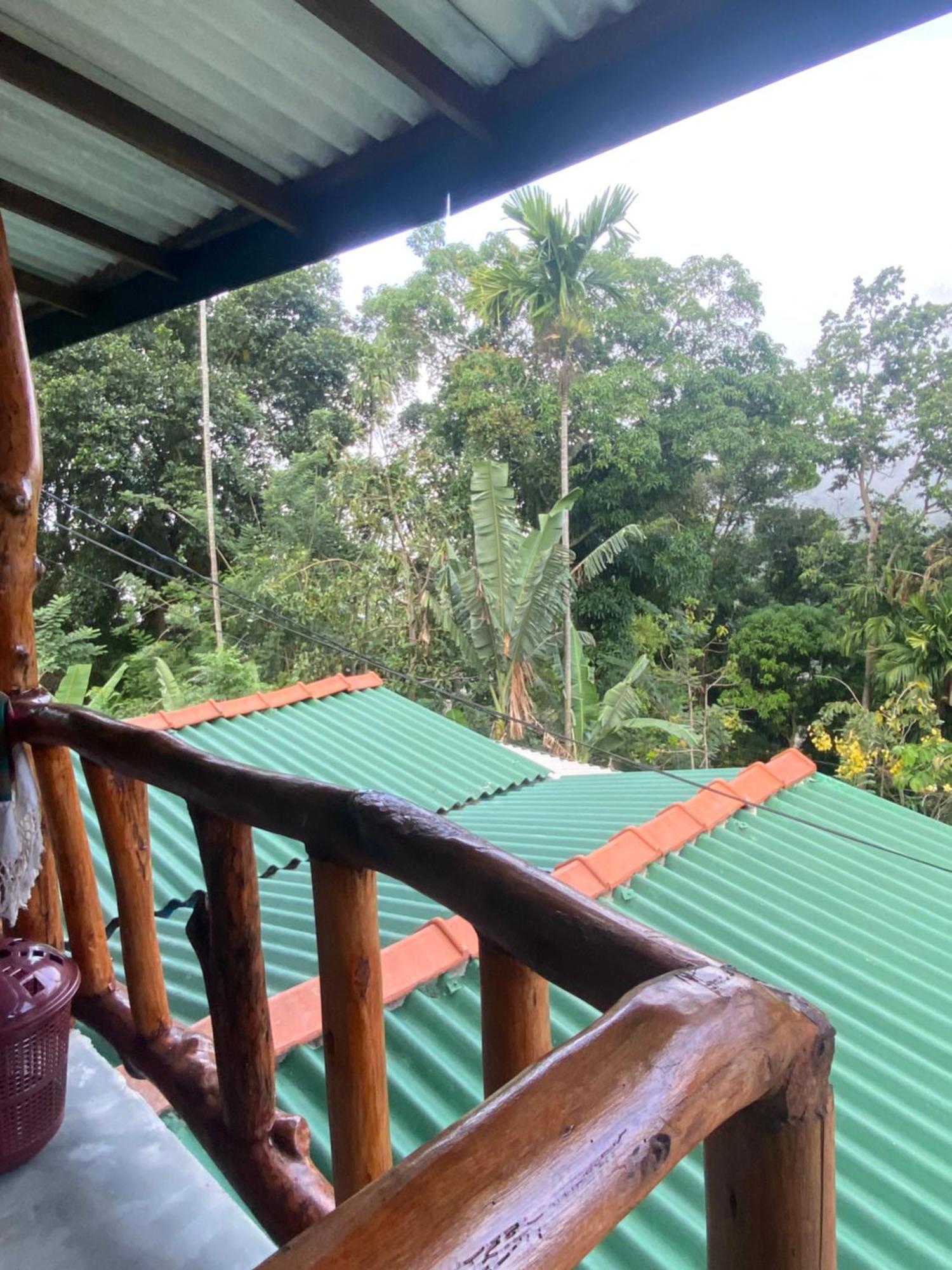 Cozy Homestay Waterfall Road Ella Bagian luar foto
