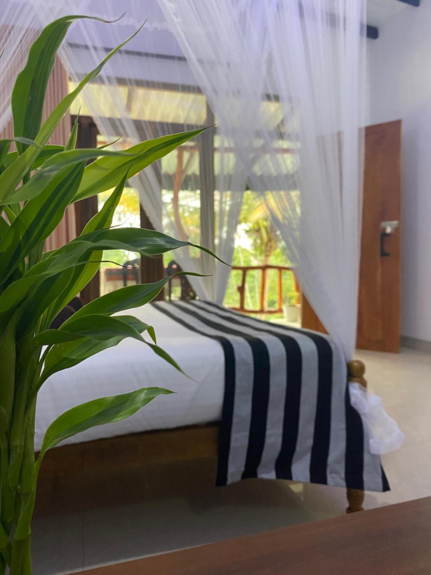 Cozy Homestay Waterfall Road Ella Bagian luar foto