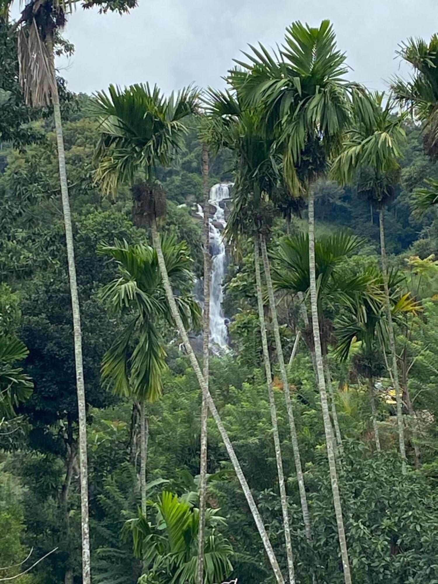 Cozy Homestay Waterfall Road Ella Bagian luar foto