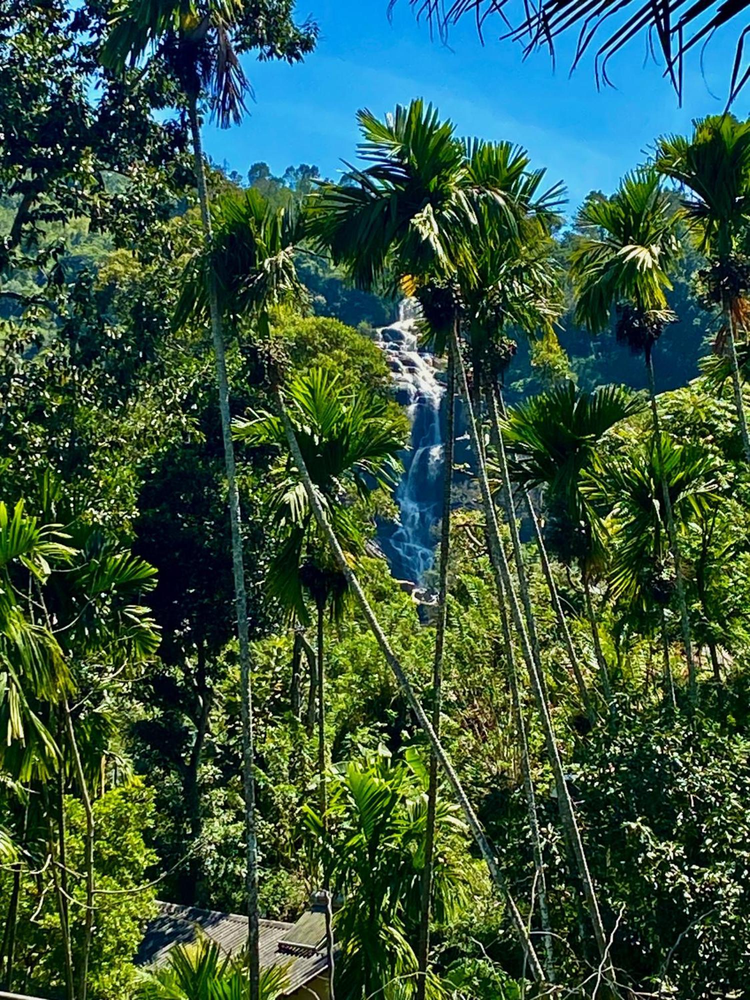 Cozy Homestay Waterfall Road Ella Bagian luar foto