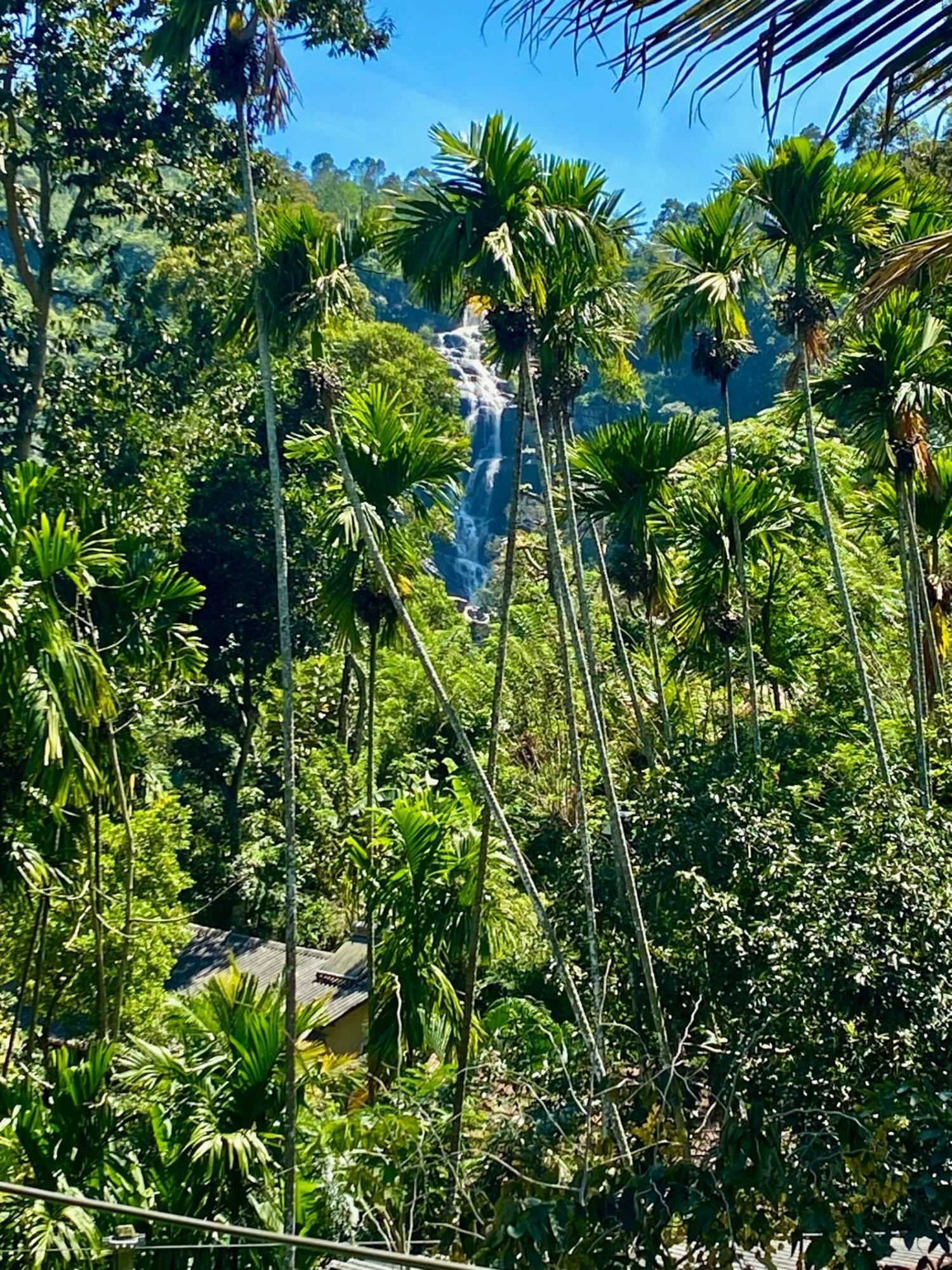 Cozy Homestay Waterfall Road Ella Bagian luar foto