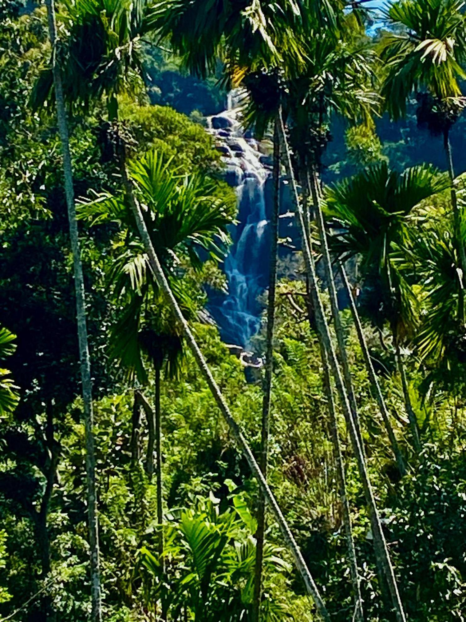 Cozy Homestay Waterfall Road Ella Bagian luar foto