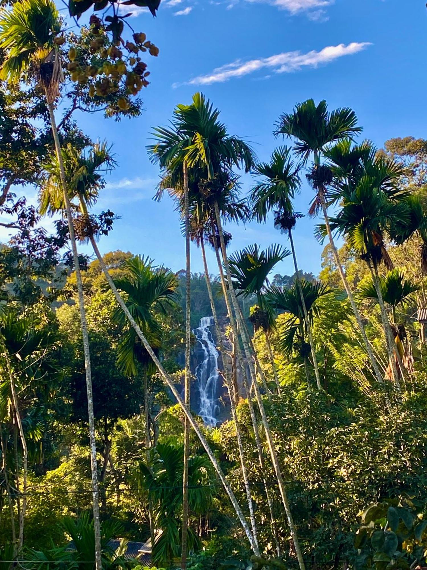 Cozy Homestay Waterfall Road Ella Bagian luar foto