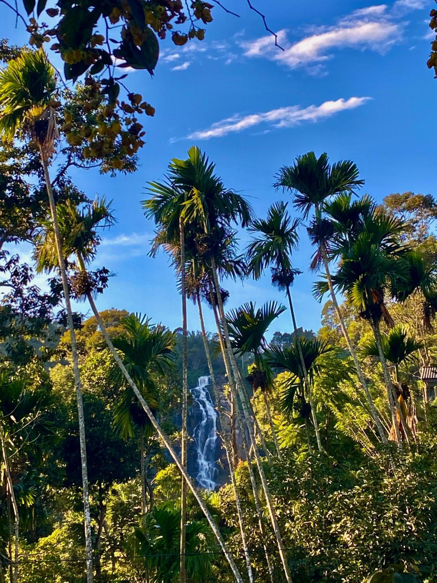 Cozy Homestay Waterfall Road Ella Bagian luar foto