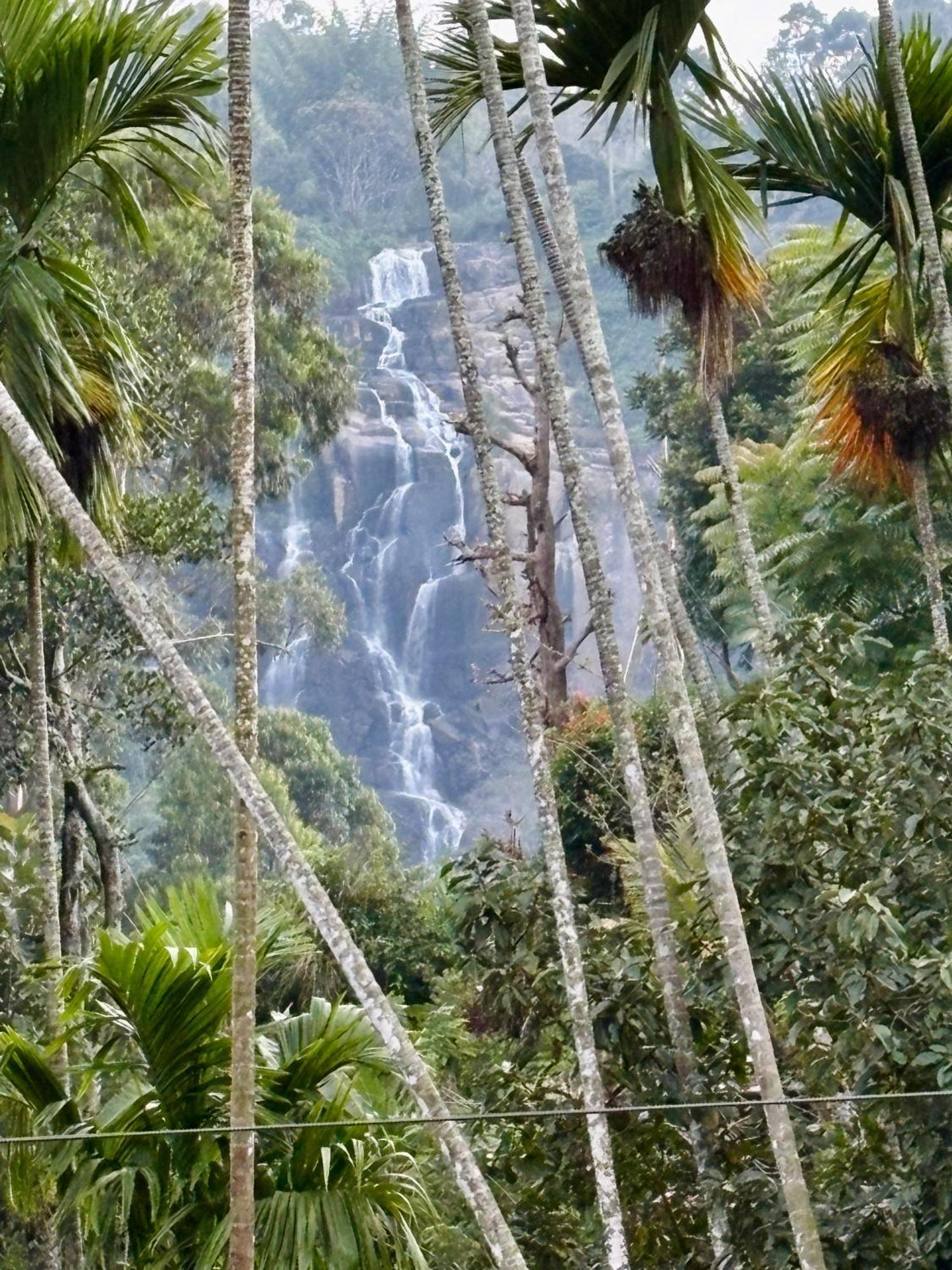 Cozy Homestay Waterfall Road Ella Bagian luar foto